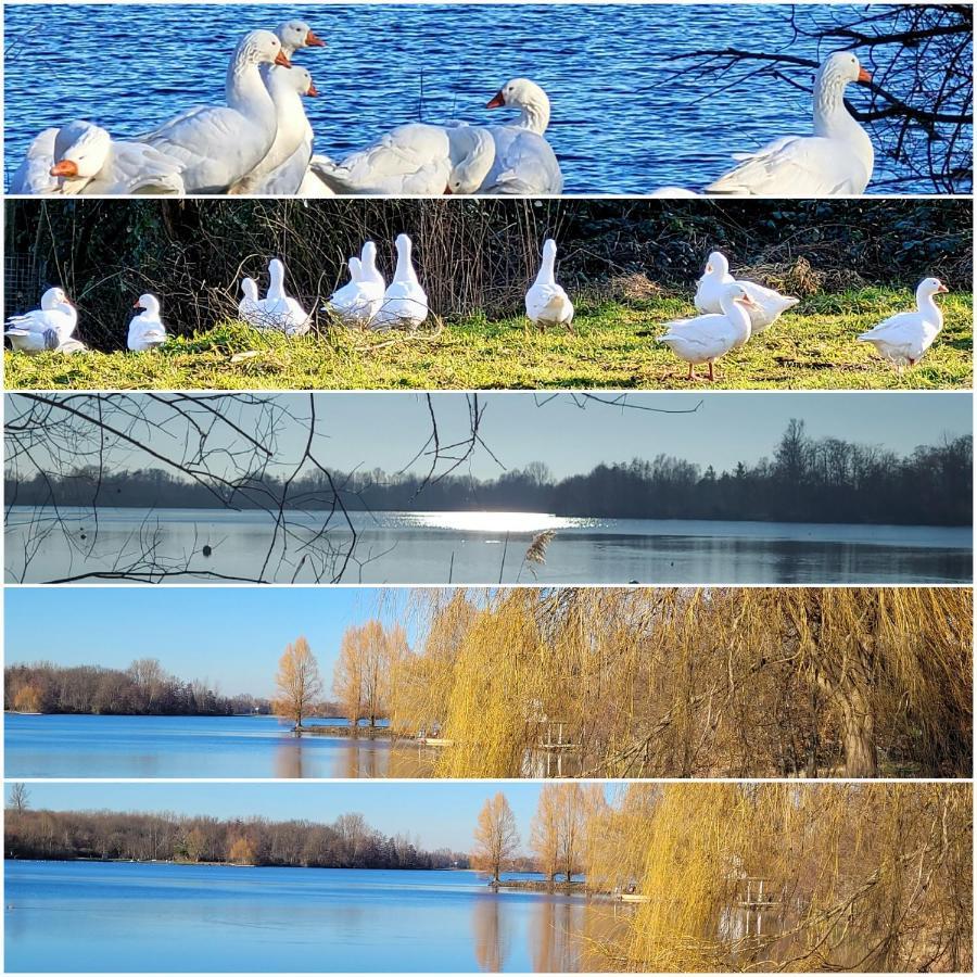 Ferienwohnung Casa Di Lago هاينسبرغ المظهر الخارجي الصورة